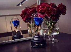 送她一份永不凋謝的英式花禮，讓陪伴更長(zhǎng)久