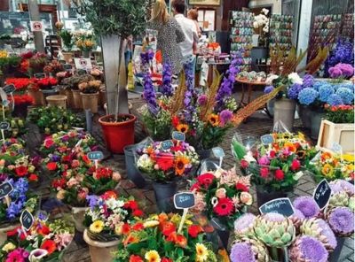 農(nóng)村創(chuàng)業(yè)新機(jī)遇 小作坊代加工項目探索，兼論禮品花卉銷售